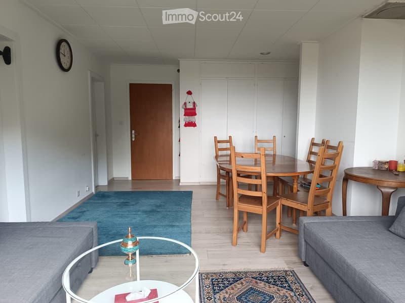 Modern living and dining area with a grey sofa, glass coffee table, dining table with chairs, and a blue rug.