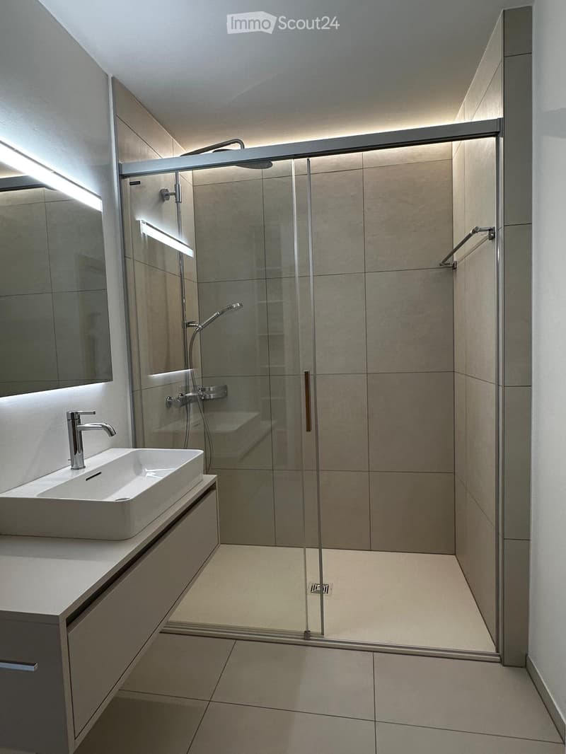 Modern bathroom with a white sink, sleek faucet, large mirror, and a glass-enclosed shower stall with multiple shower heads.