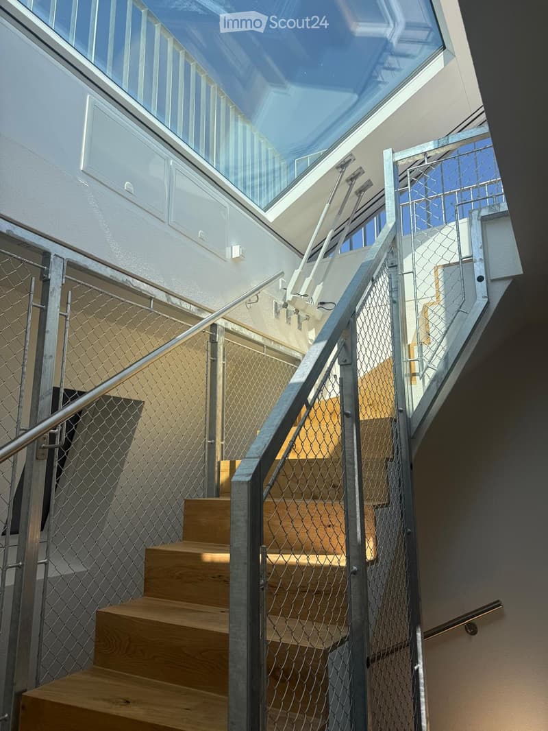 Modern staircase with wooden steps, metal railings, and a glass skylight above, featuring a safety gate on one side.
