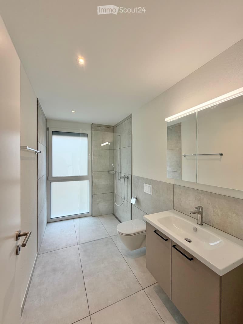 Modern bathroom with a white sink, mirror, toilet, and glass-enclosed shower area. Features recessed lighting and sleek fixtures.