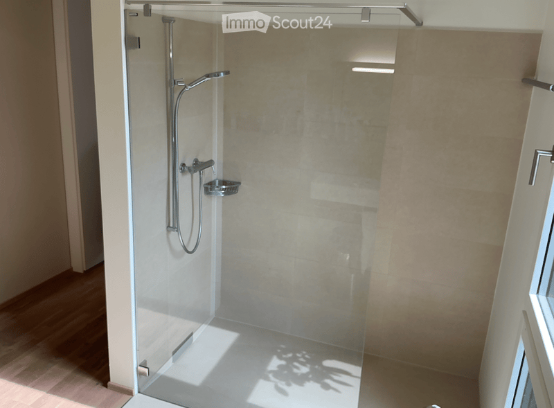 Modern shower area with glass enclosure, handheld showerhead, and built-in tray. Light-colored tiles and wooden flooring.