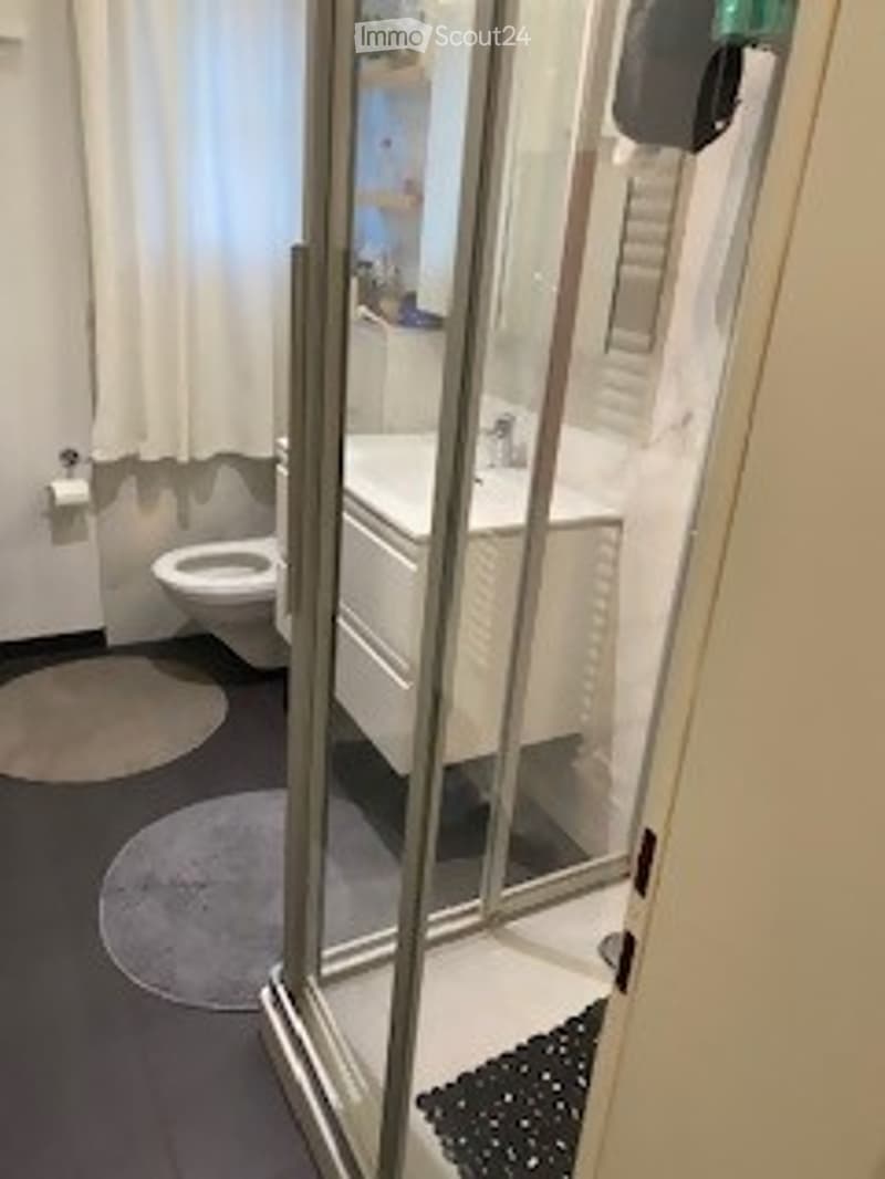 Bathroom: shower, toilet, sink, mirror, white cabinet, rug, roll of toilet paper