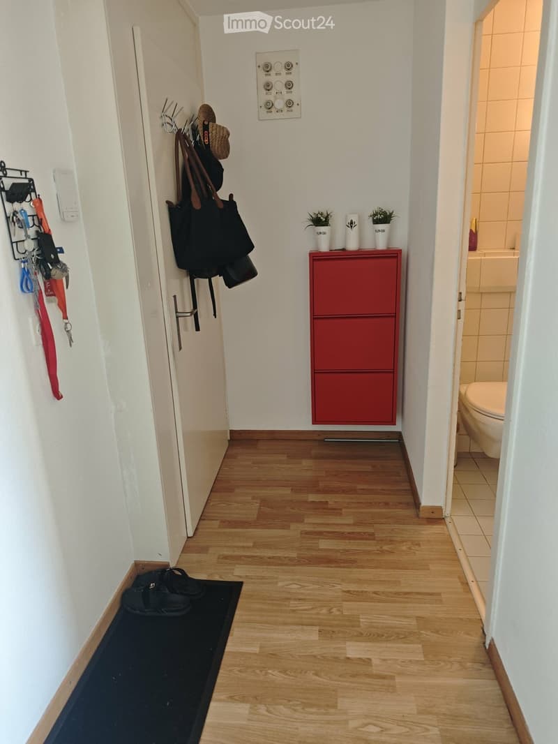 A narrow hallway with wooden flooring, white walls, and a red storage cabinet. A coat rack with hats and jackets is visible, along with a small black rug and a glimpse of a bathroom with a toilet.
