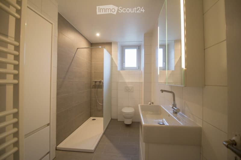 Bathroom with shower, toilet, sink, and mirror