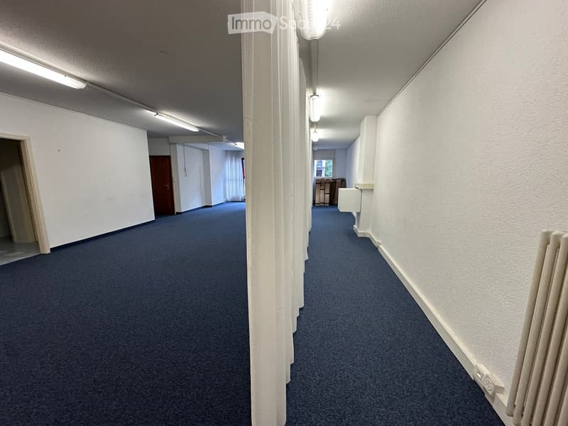 A clean, carpeted hallway with white walls, fluorescent lighting, and several doors leading to rooms.