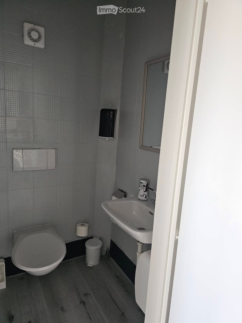 Modern bathroom with a toilet, sink, mirror, and toilet paper holder. The walls are tiled, and the floor is wooden.