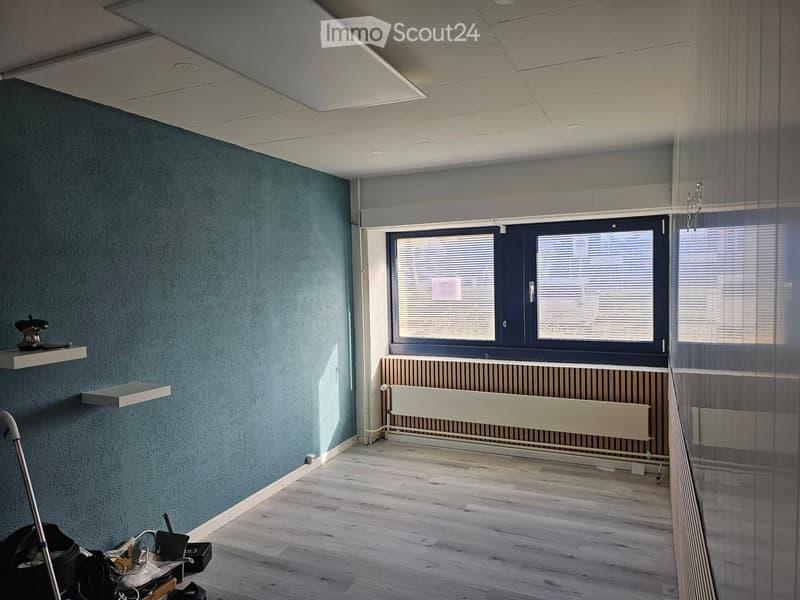 Empty room with light blue walls, wooden floor, large window with blinds, radiator, and white shelves on the wall.