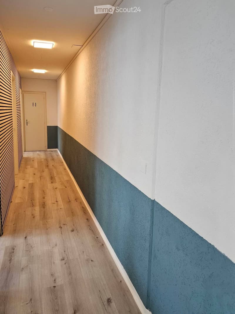 A modern hallway with light wooden flooring, white and blue painted walls, and a closed door at the end.