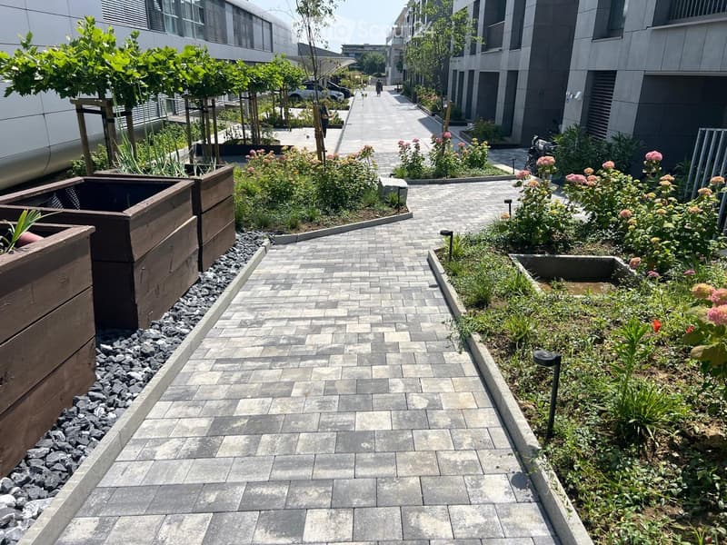 A modern garden area with a paved walkway, wooden planters, and various plants and flowers. The area is bordered by modern buildings and includes small trees and shrubs.