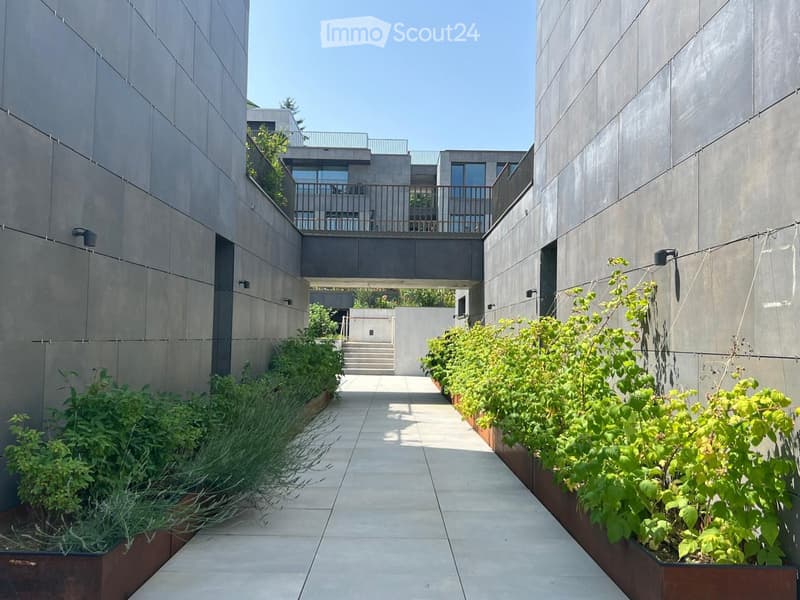 Modern outdoor garden area with raised planters, concrete pathway, and modern building in the background.