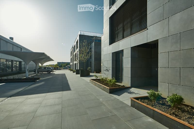 Modern building complex with grey concrete walls, large windows, and a spacious paved walkway lined with small landscaped areas and potted plants.