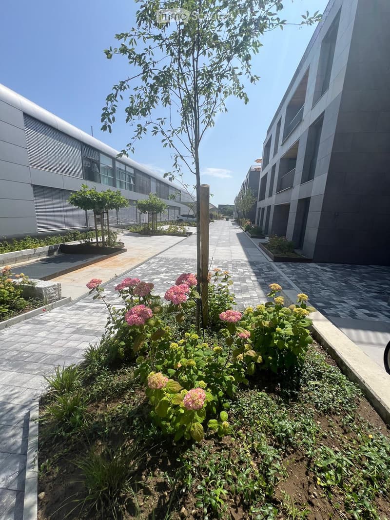 Modern outdoor garden area with paved walkways, small trees, shrubs, and flowering plants between contemporary buildings.