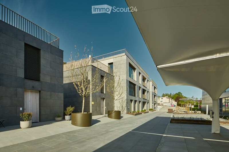 Courtyard area with modern buildings, potted plants, and trees in large planters.