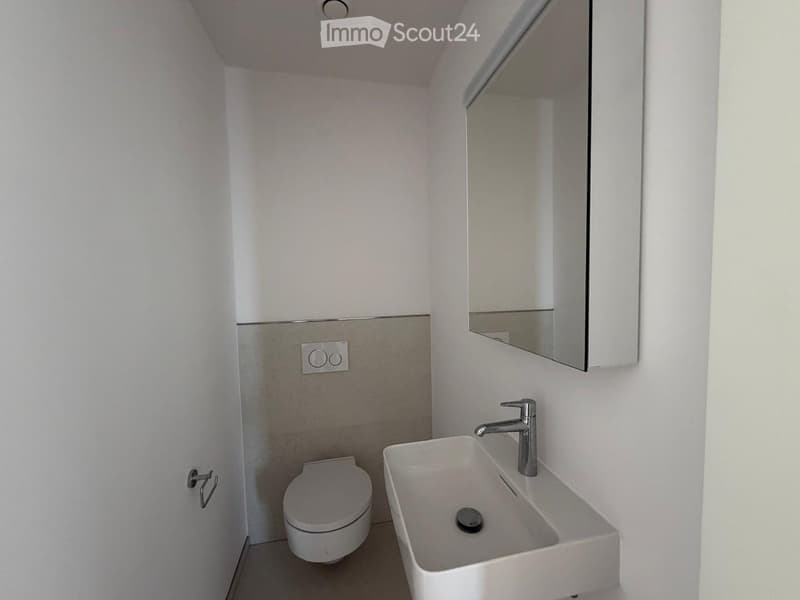 Modern, compact bathroom with white walls, a toilet, a sink with a modern faucet, and a wall-mounted mirror.