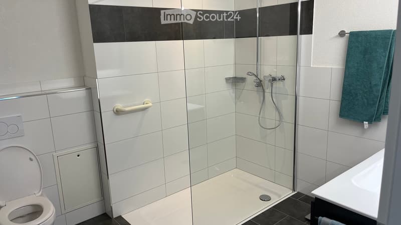 Modern bathroom with white tiles, a walk-in shower with glass enclosure, a toilet, a bathtub, and a green towel hanging on the wall.