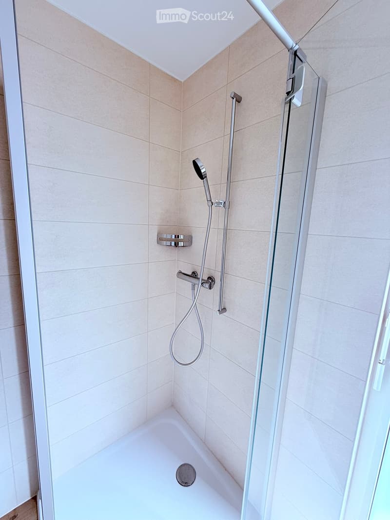 Modern bathroom with a bathtub, glass shower enclosure, and a handheld showerhead on a rail.