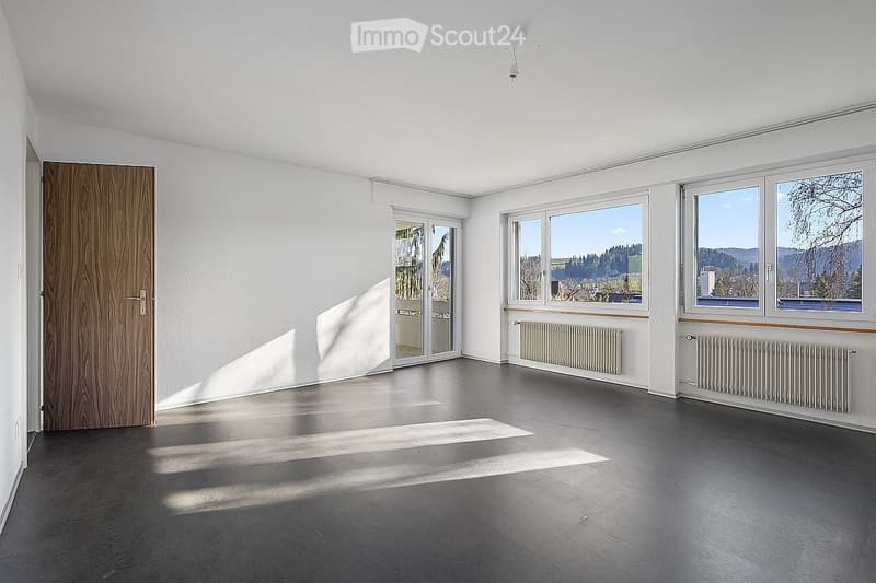 Empty room with white walls, dark grey floor, large windows with scenic view, wooden door, radiators, and ceiling light fixture.