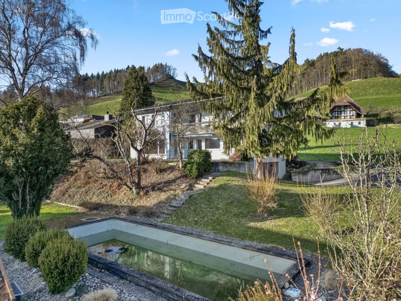 A modern house with a swimming pool in the foreground, surrounded by trees and a green landscape.