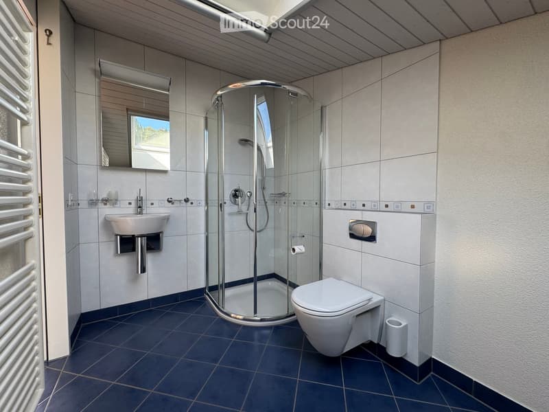 Modern bathroom with a glass-enclosed shower, white sink, toilet, and a large mirror above the sink. Blue tiles on the floor and white tiles on the walls.