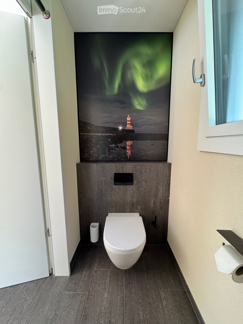 Modern bathroom with a toilet, dark grey tiles, a large decorative wall mural, and a toilet paper holder.