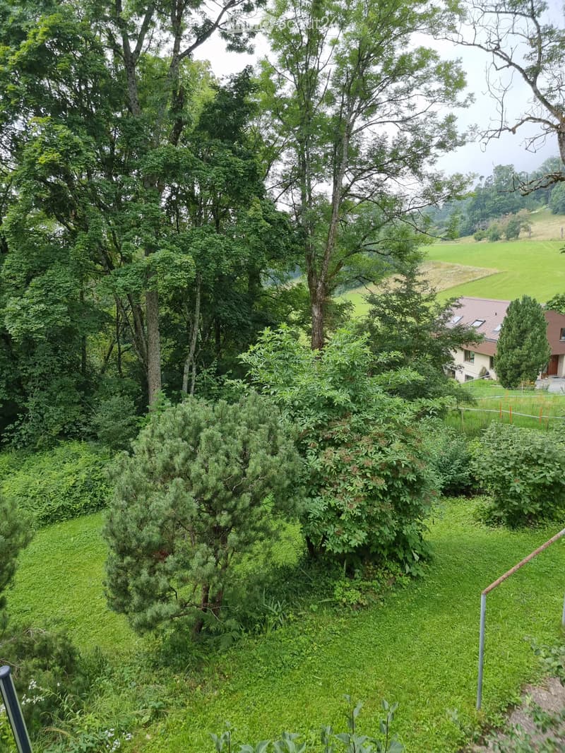 A lush, green garden area with dense trees, shrubs, and a small house partially visible in the background, surrounded by a rural landscape with fields and hills.