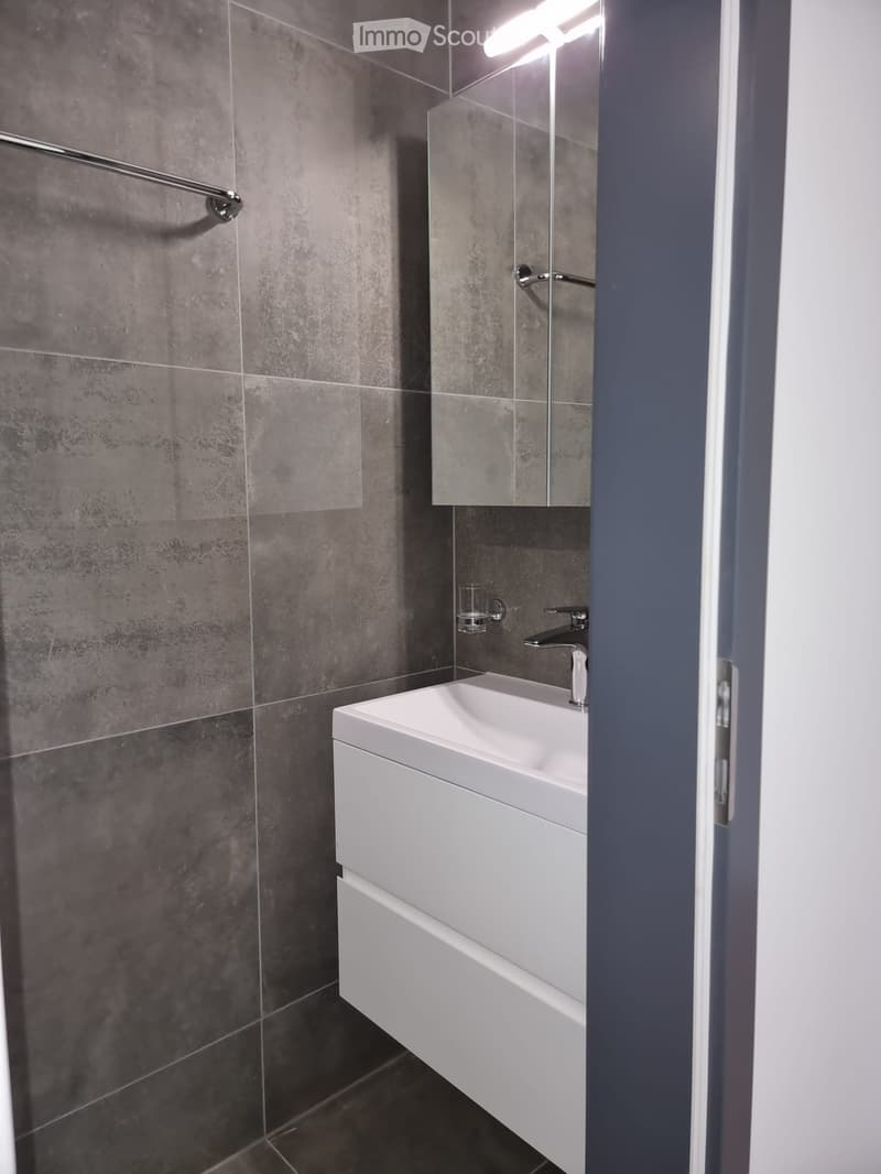 Modern bathroom with grey tiled walls, white sink, mirror, and a cup on the sink.