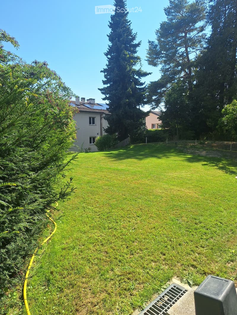 Well-maintained lawn with surrounding trees and bushes, featuring a white house with solar panels on the roof in the background.