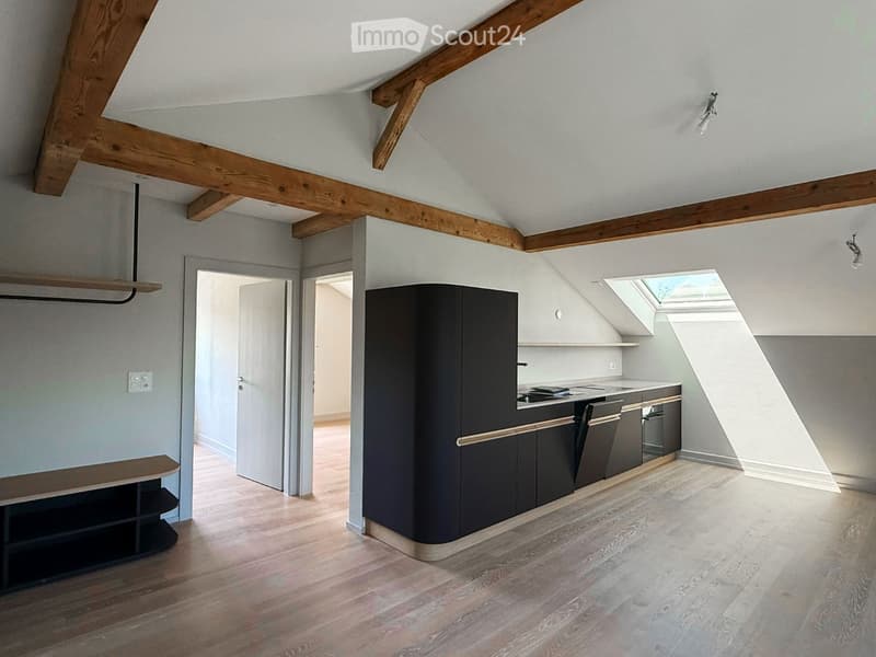 Modern kitchen with dark cabinets, wooden flooring, and a skylight window providing natural light.