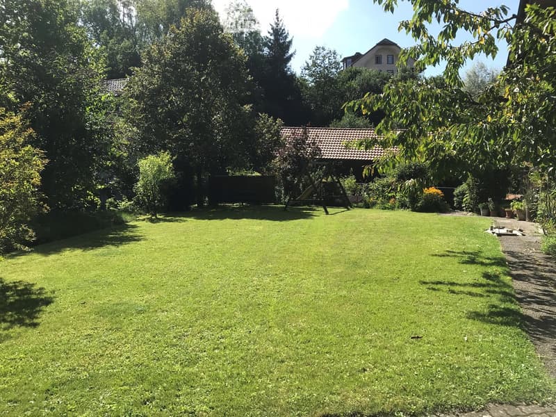 A well-maintained garden with a large, open lawn, surrounded by trees and shrubs. A wooden swing set is visible in the background, along with a small shed and a house partially obscured by foliage.