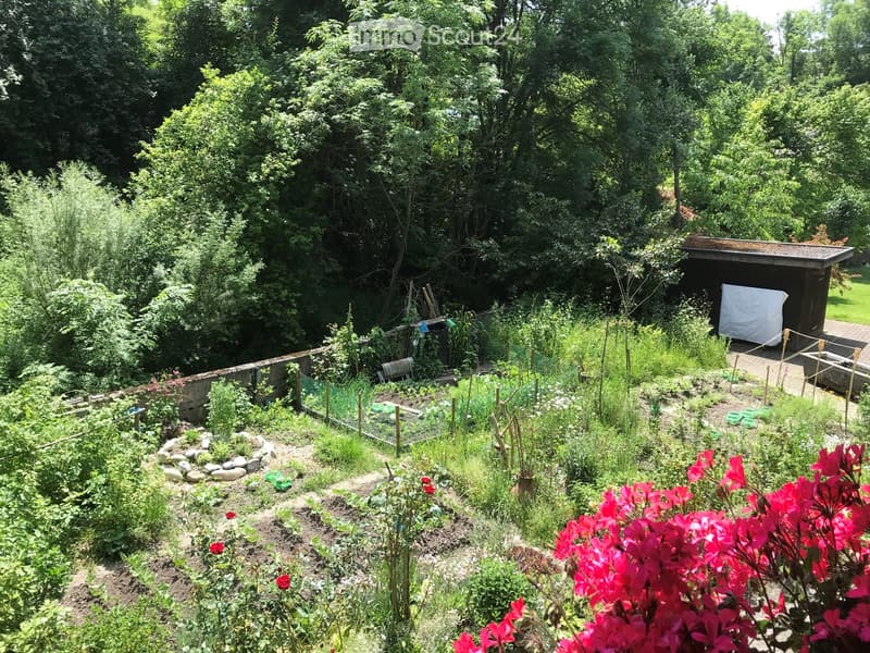A lush garden with various plants, flowers, and a small shed, surrounded by dense trees and greenery.