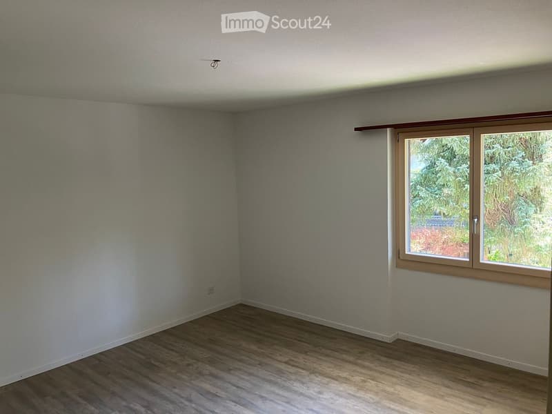 Empty room with light grey walls and wooden flooring, featuring a large window with a view of greenery outside.