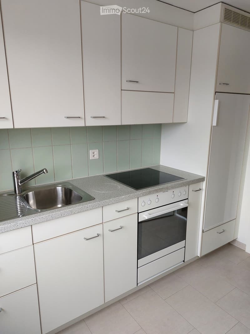 Modern kitchen with white cabinets, granite countertop, stainless steel sink, induction cooktop, and built-in oven.