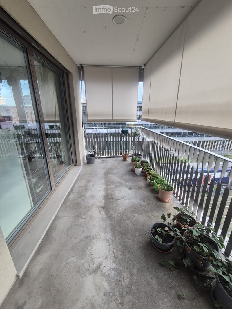 Balcony with concrete floor, metal railing, large windows, and several potted plants arranged along the railing.