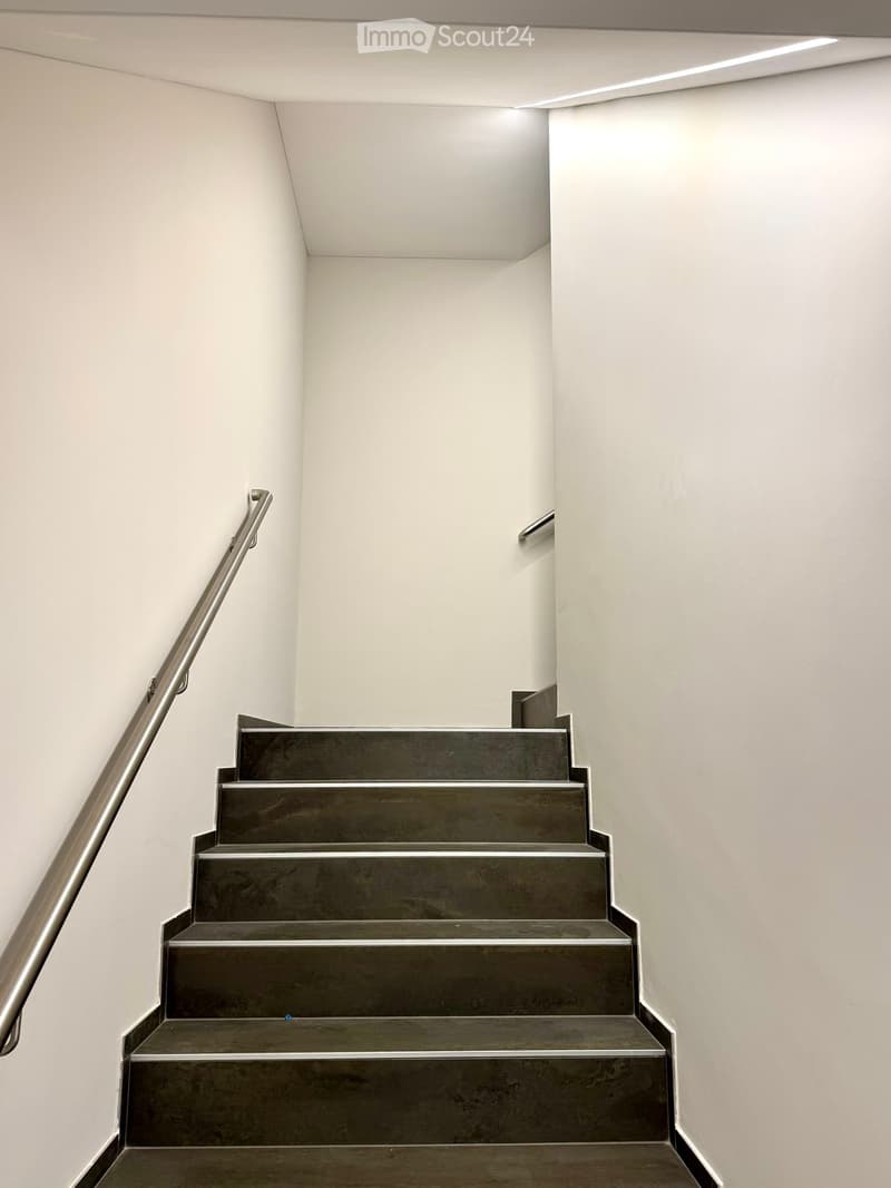 Corridor / Hallway. Modern staircase with dark concrete steps and a sleek metal handrail, set against white walls and a minimalist design.