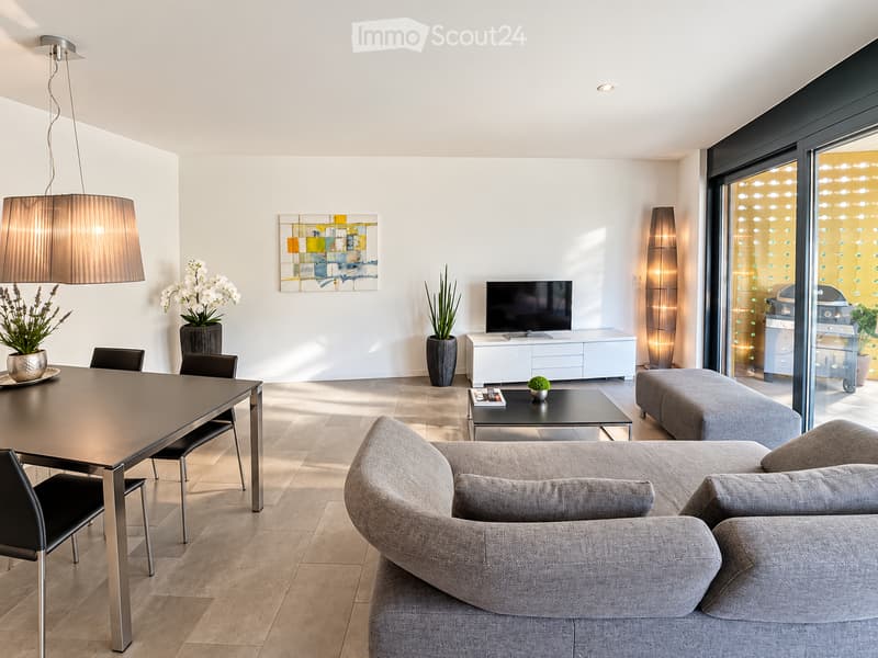 Modern living and dining area with a grey sectional sofa, coffee table, dining table with chairs, TV, pendant light, floor lamp, and decorative plants.
