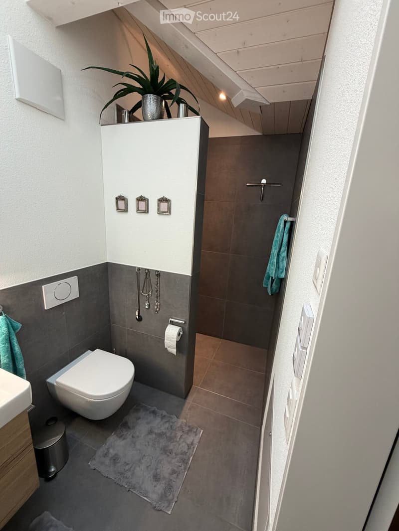 Modern, compact bathroom with a toilet, sink, and a small plant on the cabinet. Grey tiles and white walls, with towels and a rug on the floor.