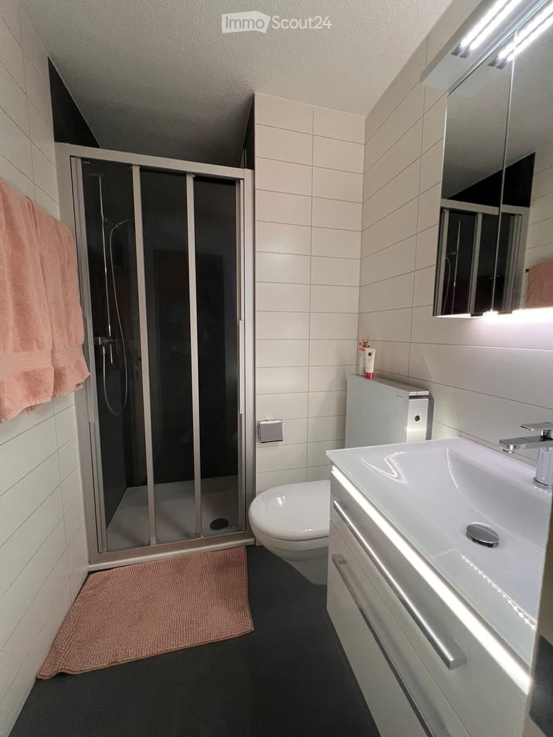 Bathroom with shower enclosure, white tiles, white toilet, vanity with sink, mirror, pink towel, rug