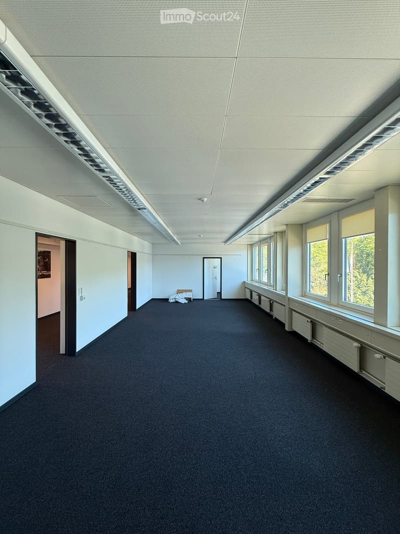 Empty room with dark blue carpet, white walls, large windows, and a few doors leading to adjacent spaces.