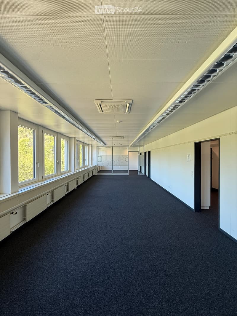 Empty hallway with carpeted floor, white walls, large windows on one side, and a glass partition at the end.