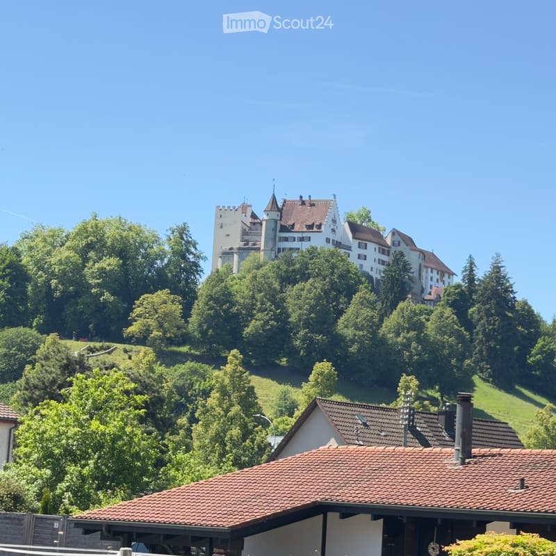 A large, historic castle sits atop a hill surrounded by lush green trees and a clear blue sky. The foreground shows a modern house with a red-tiled roof and white walls.