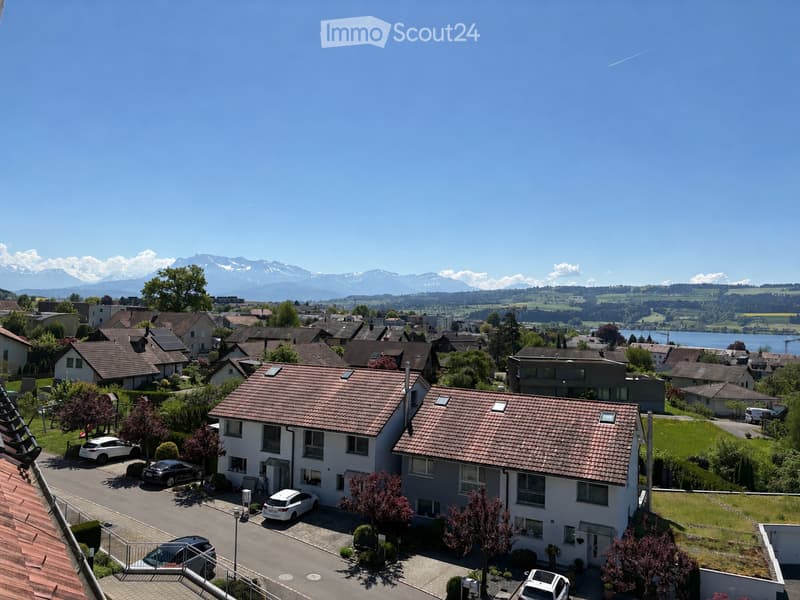 Aerial view of a residential neighborhood with multiple houses, parked cars, and a scenic backdrop of mountains and a lake.