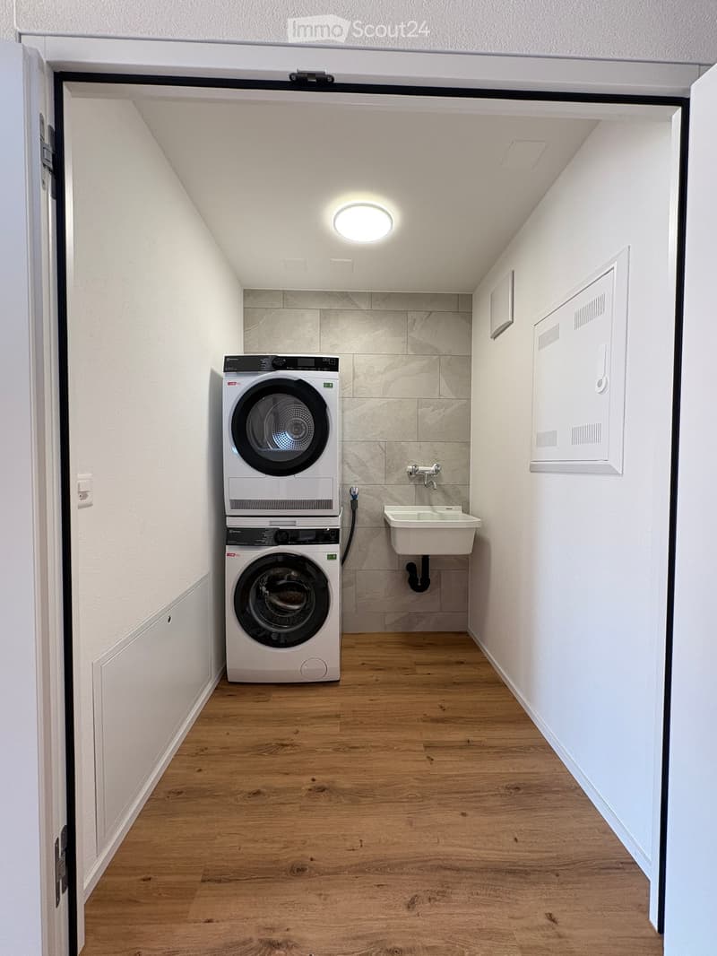 Modern laundry room with wooden flooring, white walls, and built-in washing machine and dryer. Includes a small sink and a round ceiling light.