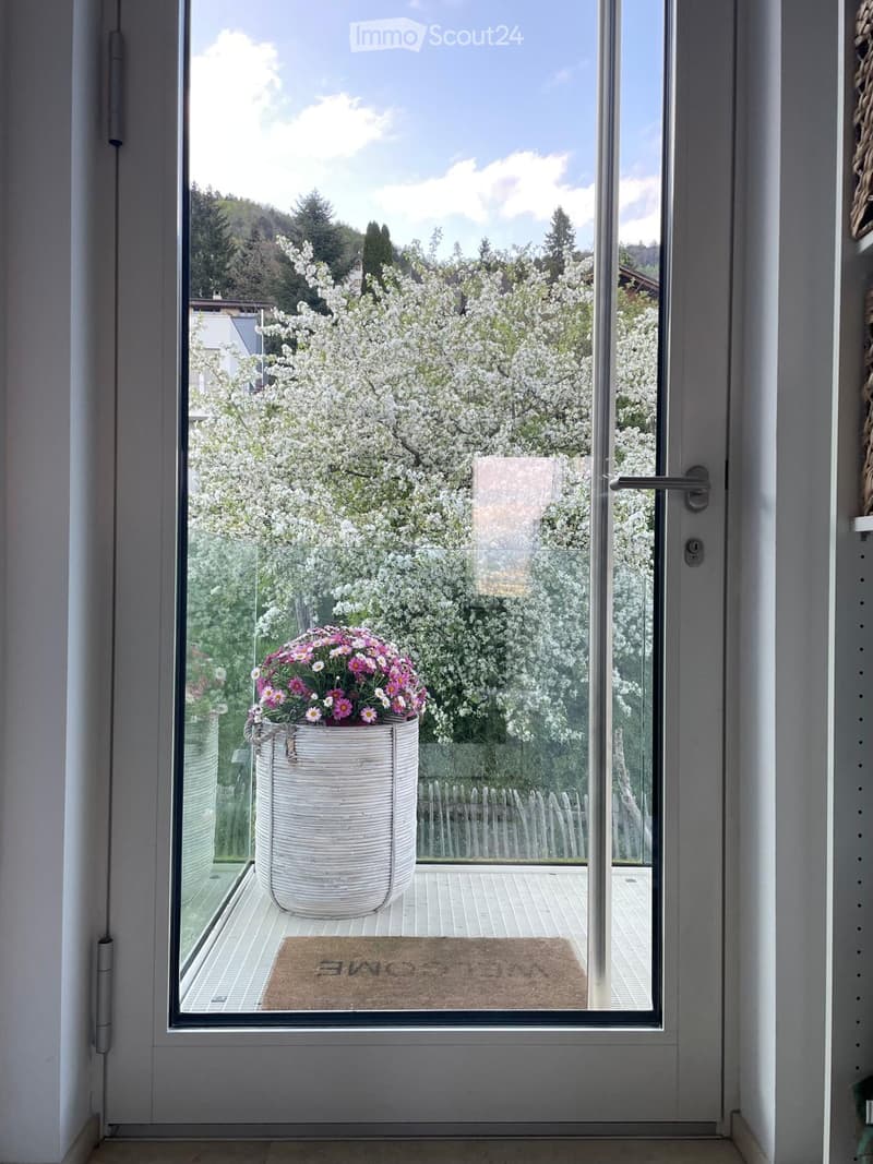 Balcony with a large glass door, a doormat, and a flower pot with pink and white flowers visible through the glass.