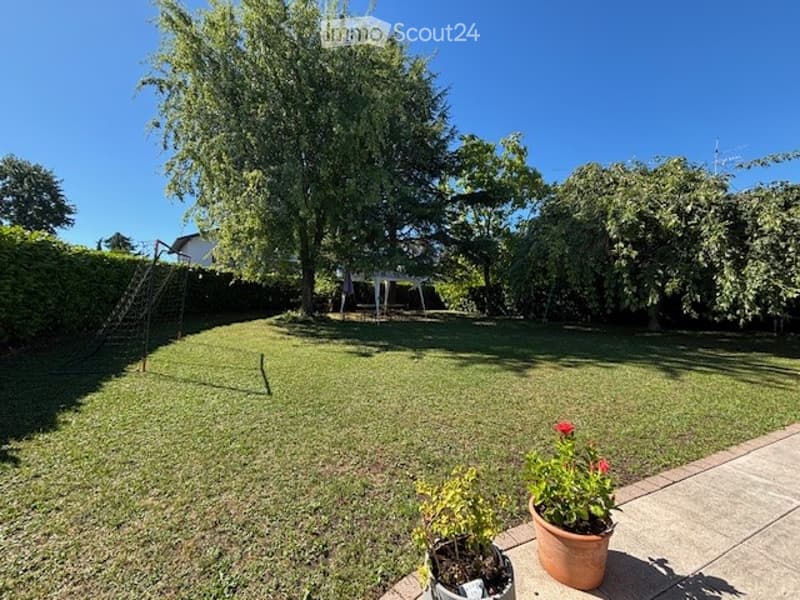 Well-maintained garden with a large tree, neatly trimmed hedges, a small play structure, and potted plants near the patio.
