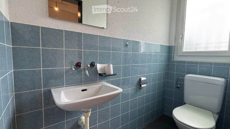 Bathroom with blue tiled walls, white sink, toilet, and mirror above the sink. Toilet paper holders are mounted on the wall.