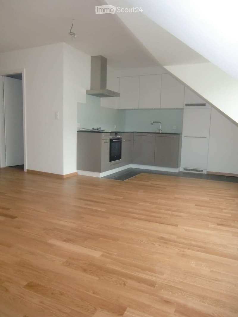 Empty kitchen with light grey cabinets, stainless steel appliances, and wooden flooring.