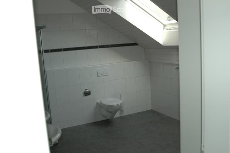 WC und Links die Dusche oben
