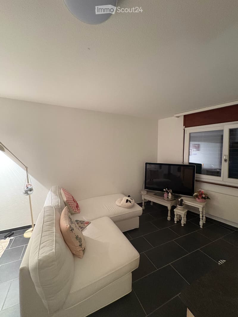 Helles Studio in Bex (4)
