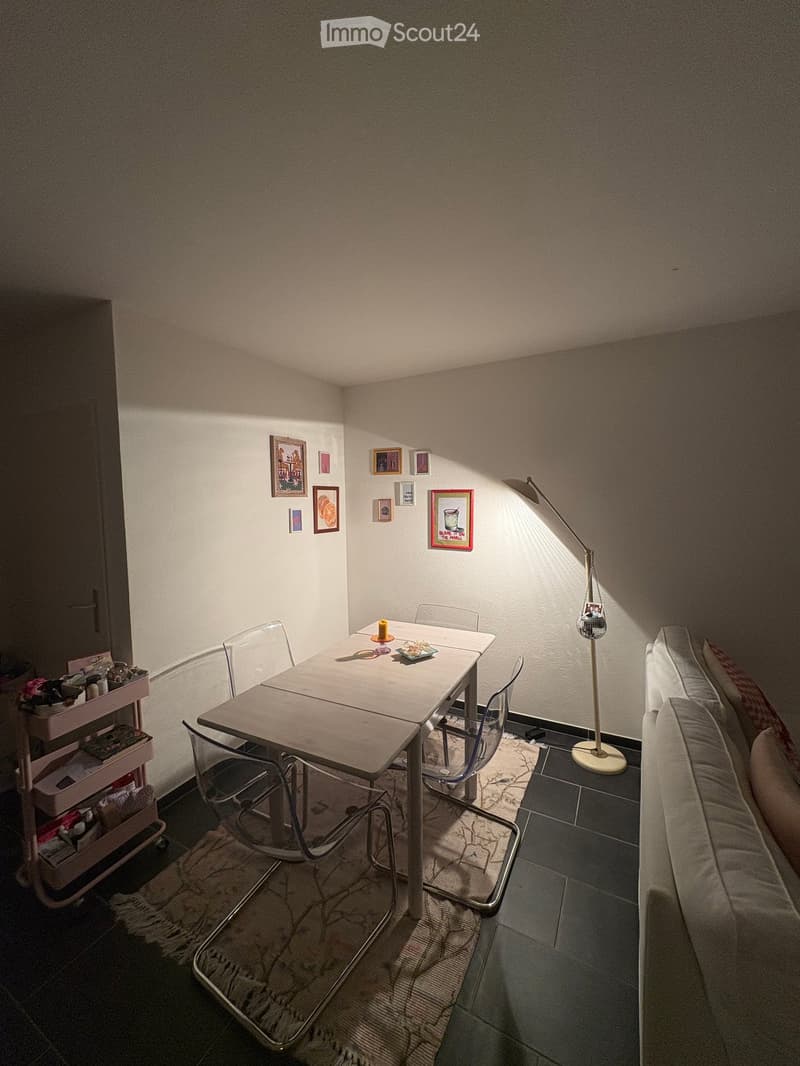 Helles Studio in Bex (3)