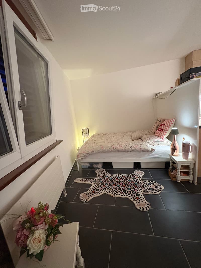 Helles Studio in Bex (5)